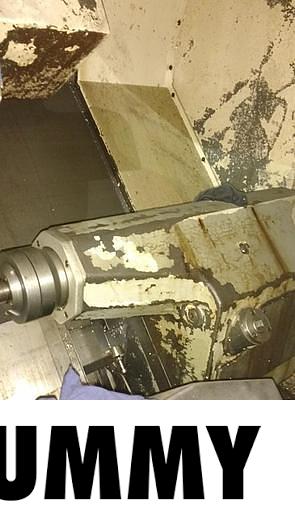 Used 2018 Test PDF rendering opacity using ITALIAN