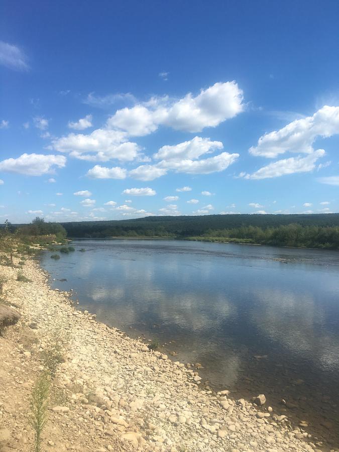 Used 2018 RASCH PC78MR-4